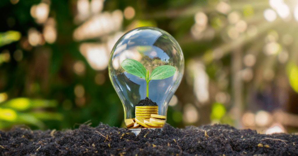 bulb planted in soil with small plant inside