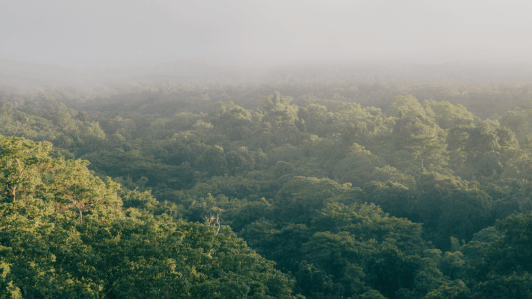 CleanArc Data Centers Adds 300MW to Planned Capacity for Virginia Hyperscale Campus